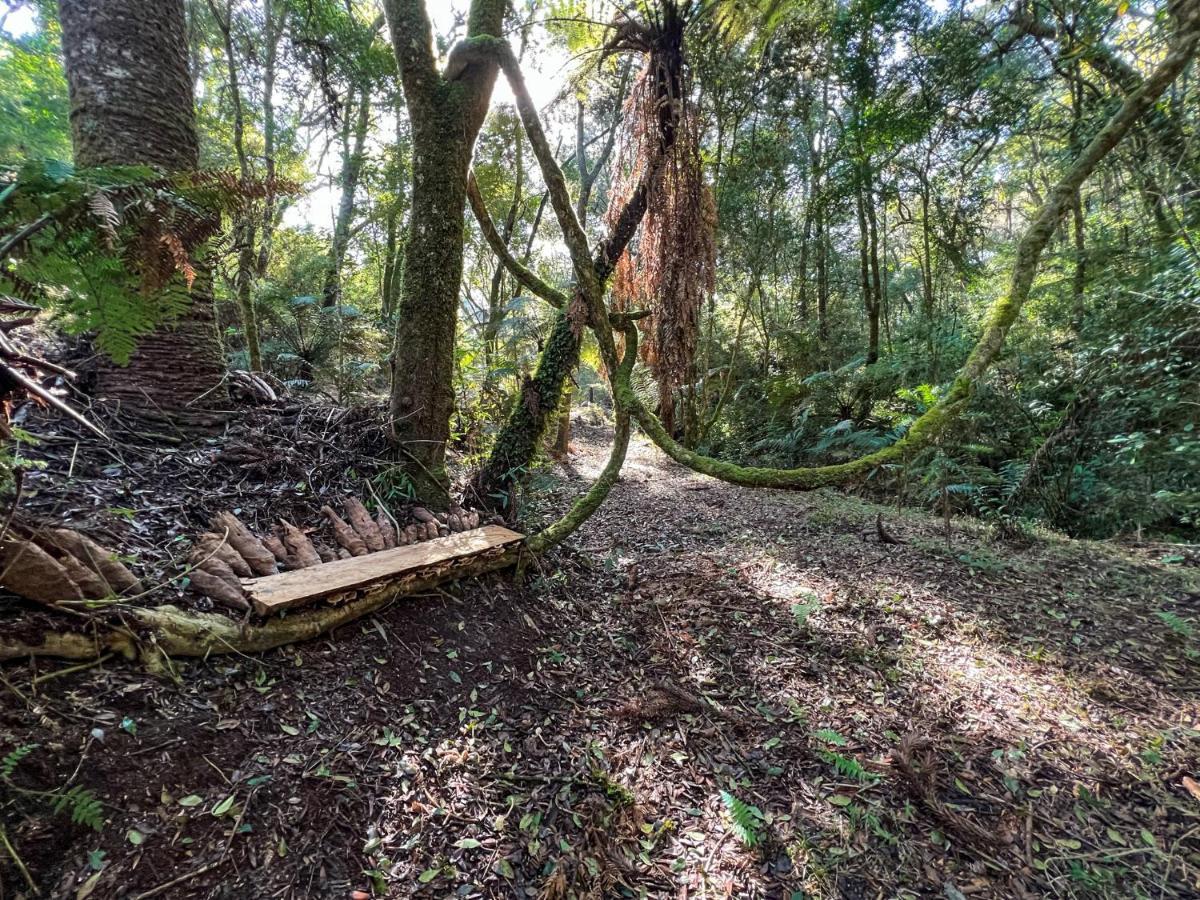 Da Arvore - Forestplace Campo de lujo Monte Verde (Minas Gerais)