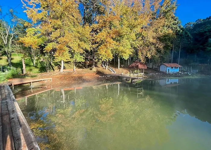 Cabana Da Arvore - Forestplace