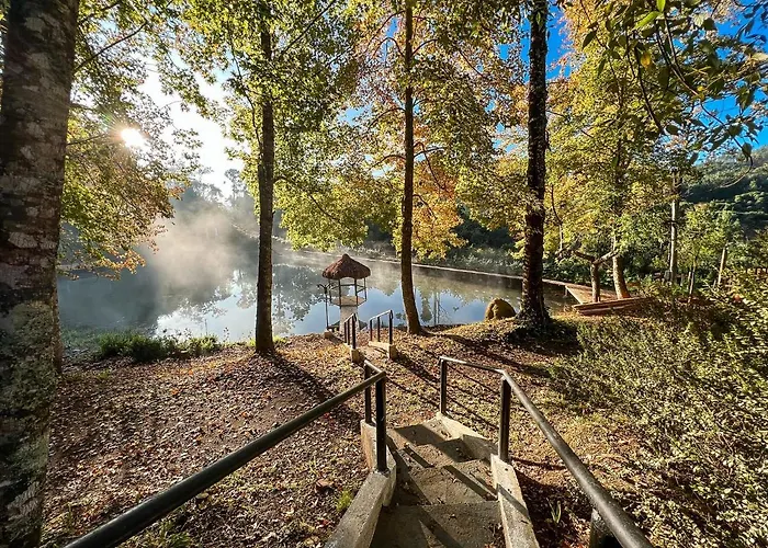 Cabana Da Arvore - Forestplace