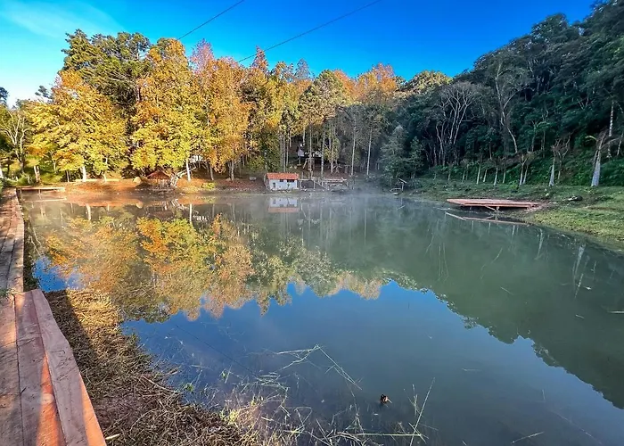 Cabana Da Arvore - Forestplace
