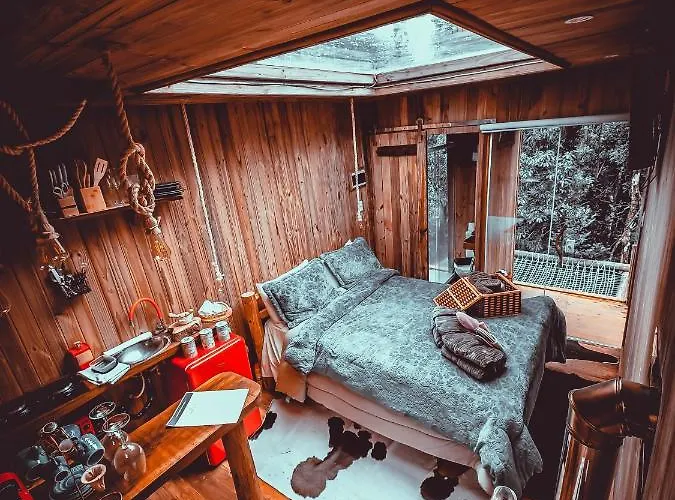 Cabana Da Arvore - Forestplace