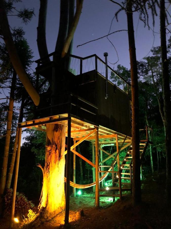 Campismo de Luxo Da Arvore - Forestplace Monte Verde (Minas Gerais)