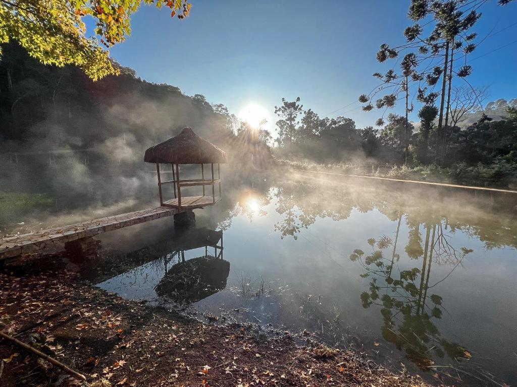 Campismo de Luxo Da Arvore - Forestplace