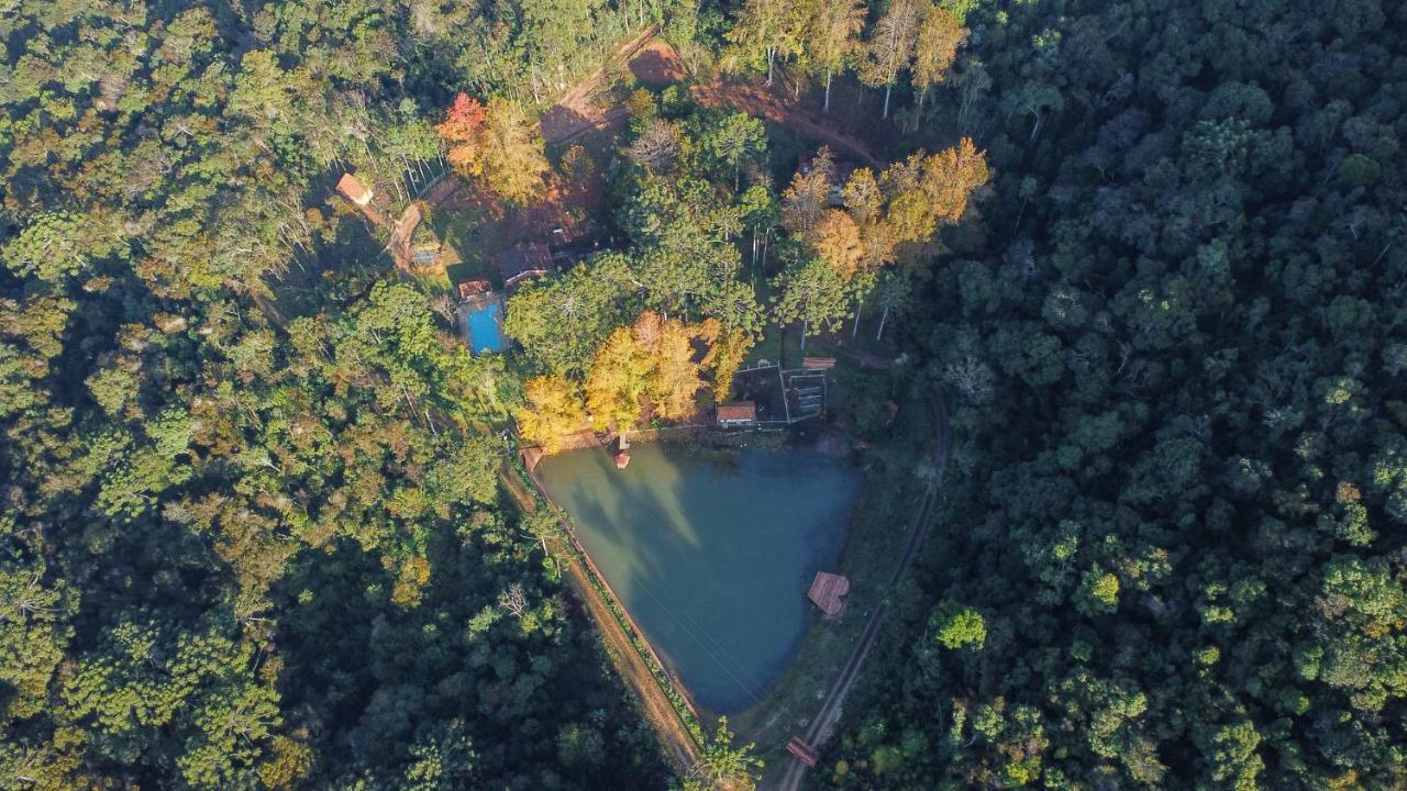Campismo de Luxo Da Arvore - Forestplace *