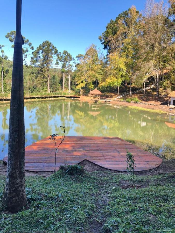 Da Arvore - Forestplace Campismo de Luxo