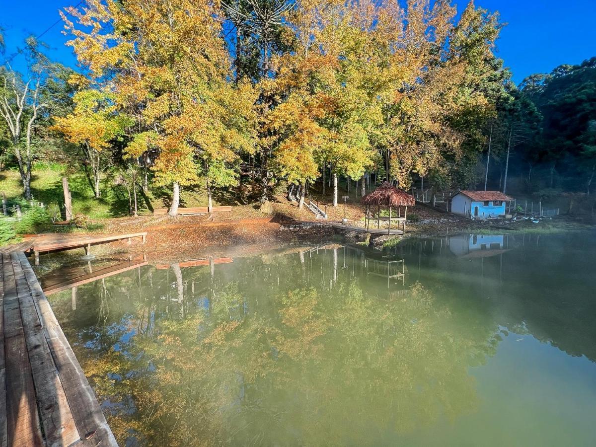 Da Arvore - Forestplace Monte Verde (Minas Gerais)
