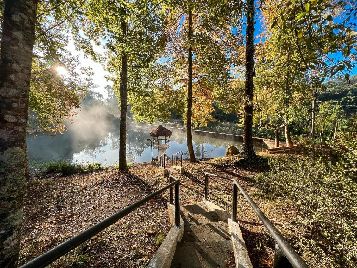 Campismo de Luxo Da Arvore - Forestplace *