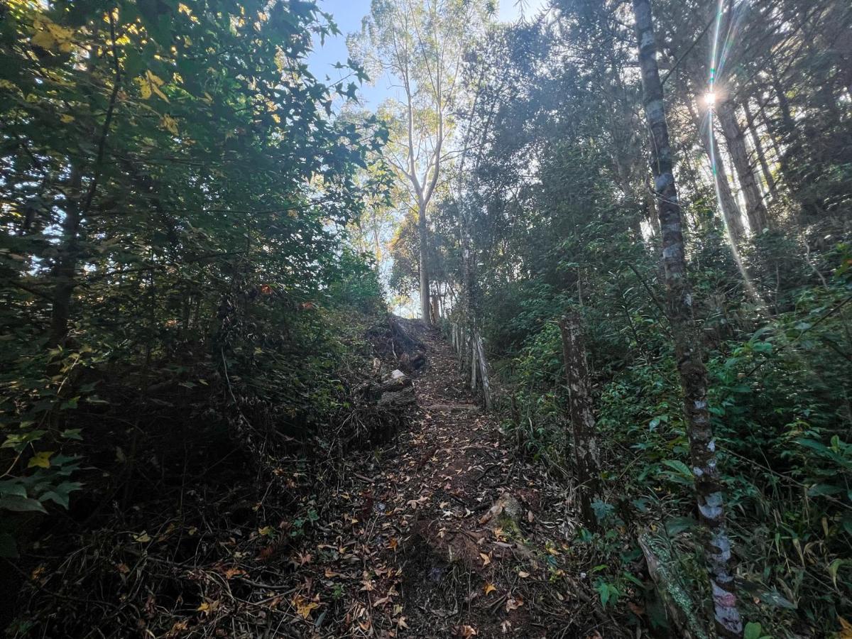 Da Arvore - Forestplace Campismo de Luxo