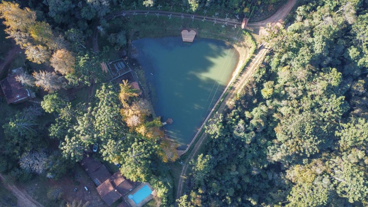 Campismo de Luxo Da Arvore - Forestplace