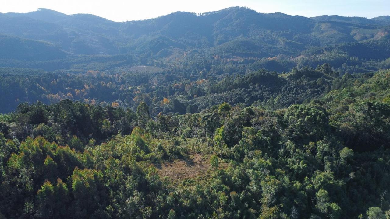 Campismo de Luxo Da Arvore - Forestplace *