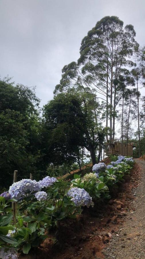 Da Arvore - Forestplace Campismo de Luxo *