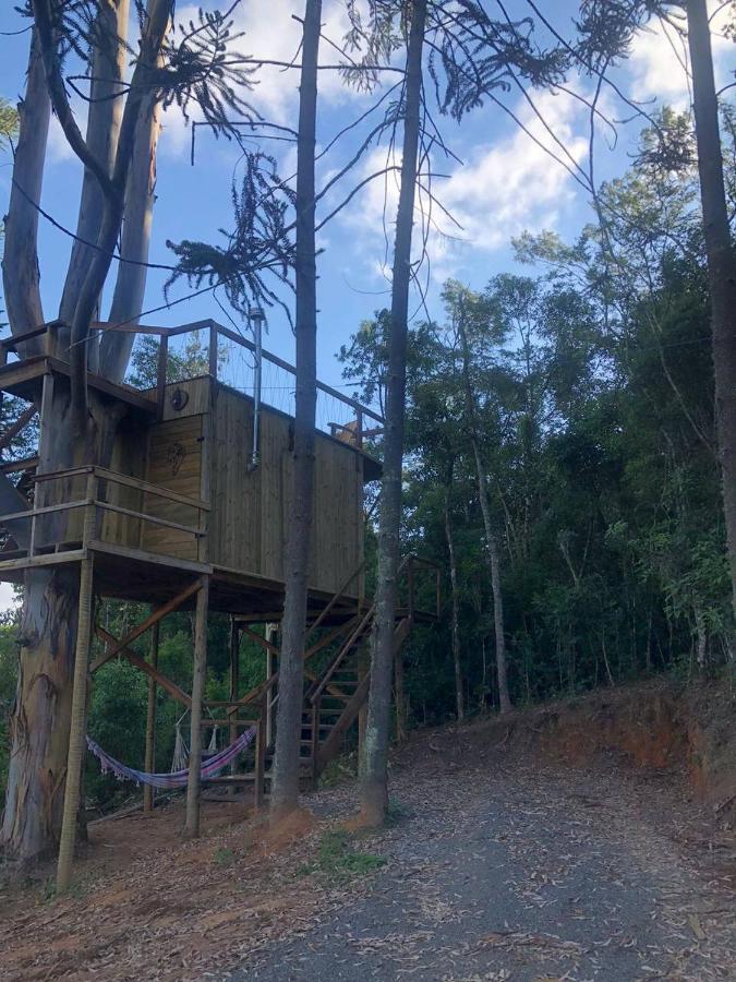 Da Arvore - Forestplace * Monte Verde (Minas Gerais)