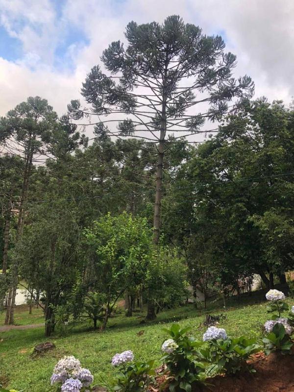 Da Arvore - Forestplace Campismo de Luxo *