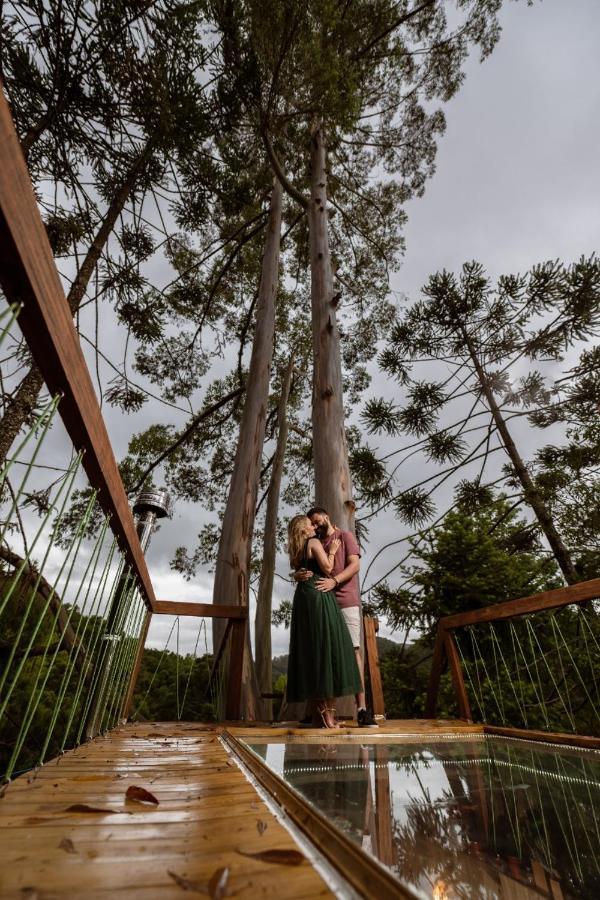 Campismo de Luxo Da Arvore - Forestplace