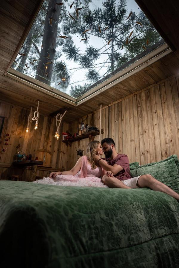 Campismo de Luxo Da Arvore - Forestplace