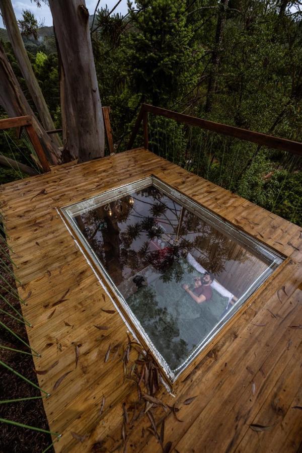 Campismo de Luxo Da Arvore - Forestplace Monte Verde (Minas Gerais)