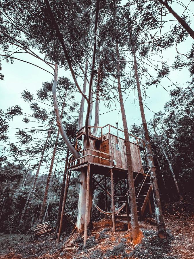 Campismo de Luxo Da Arvore - Forestplace